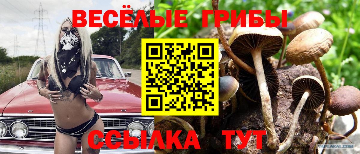 Галлюциногенные грибы Magic Shrooms  Вход с VPN  Новокуйбышевск 